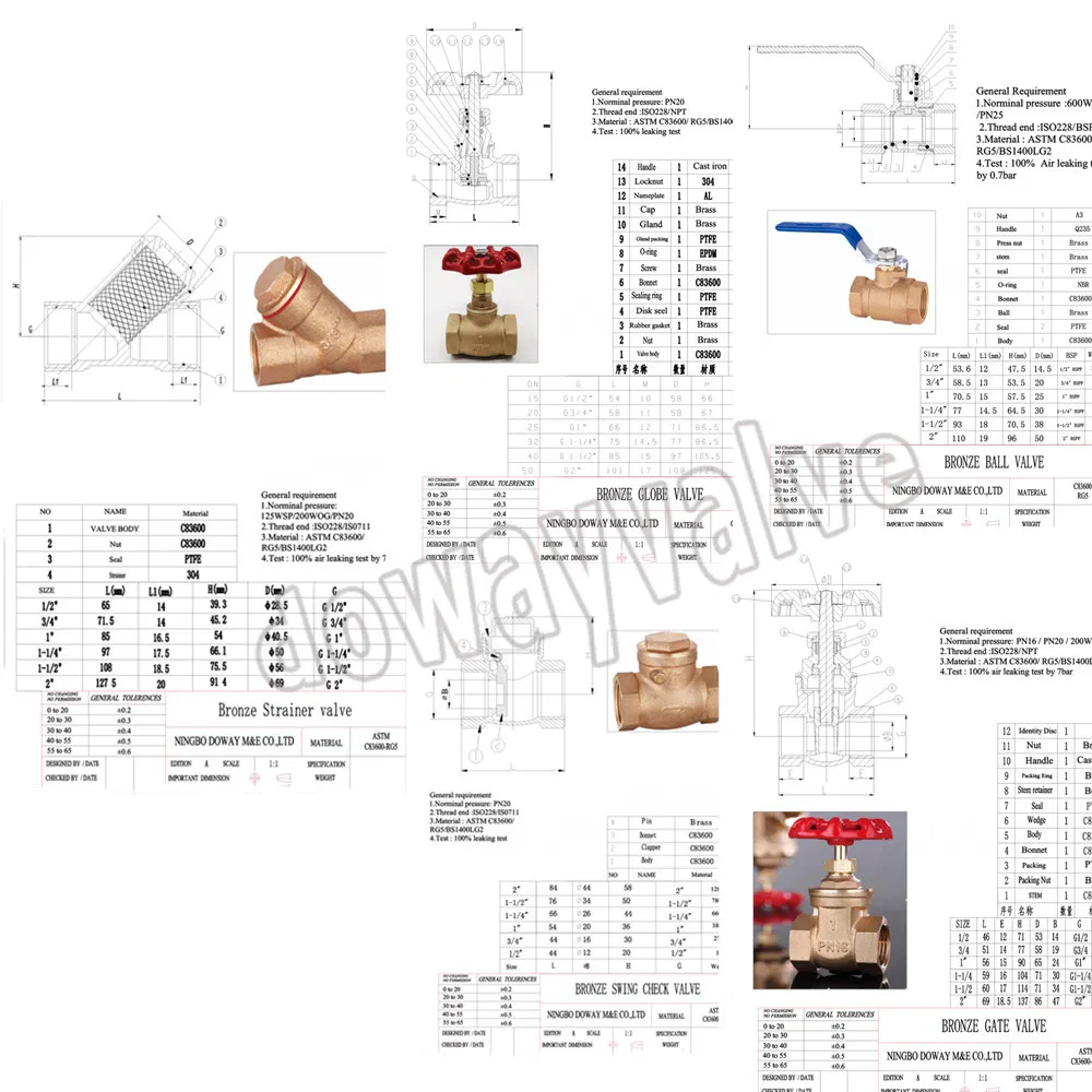 Pn20 OEM Gate Valve Swing Check Global Valves Bronze Strainer Flanged Valve