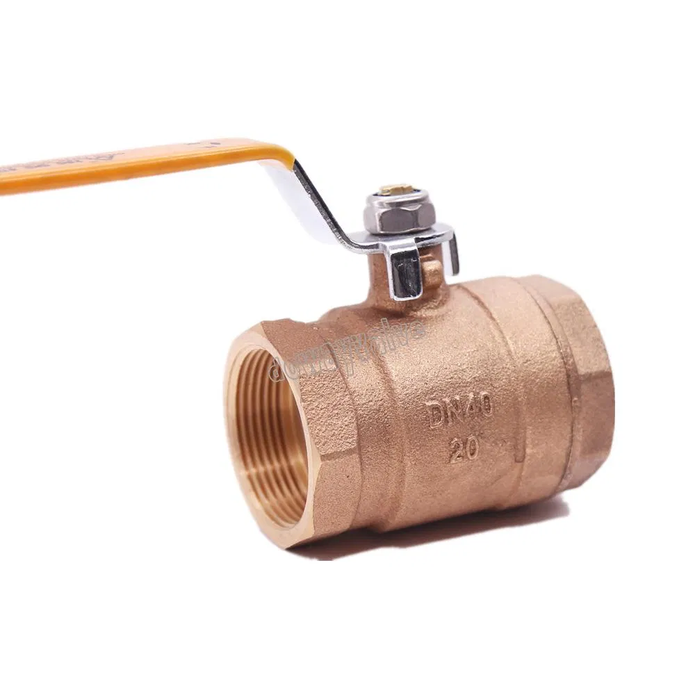 Pn20 OEM Gate Valve Swing Check Global Valves Bronze Strainer Flanged Valve