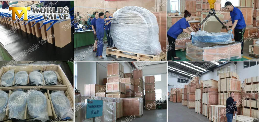 Pn25 High Performance Wafer Type Rubber Butterfly Valve with Ce ISO Wras Acs Approved