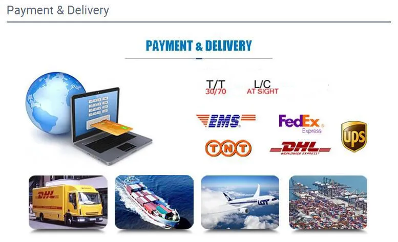 Pn63 Fnpt Screwed Mini Ball Valve