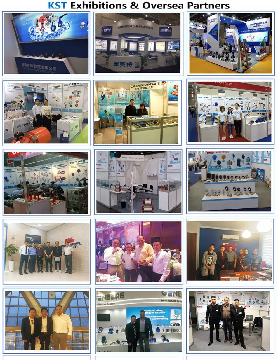 Pneumatic Actuated Flange Ball Valve with Asmi/DIN/JIS/GB Standard