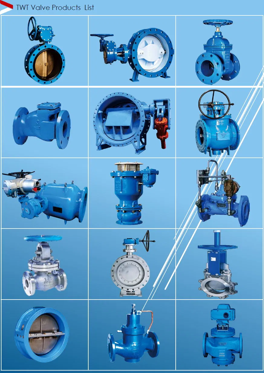 Popular PTFE Full Lined Butterfly Valve in South Africa Market