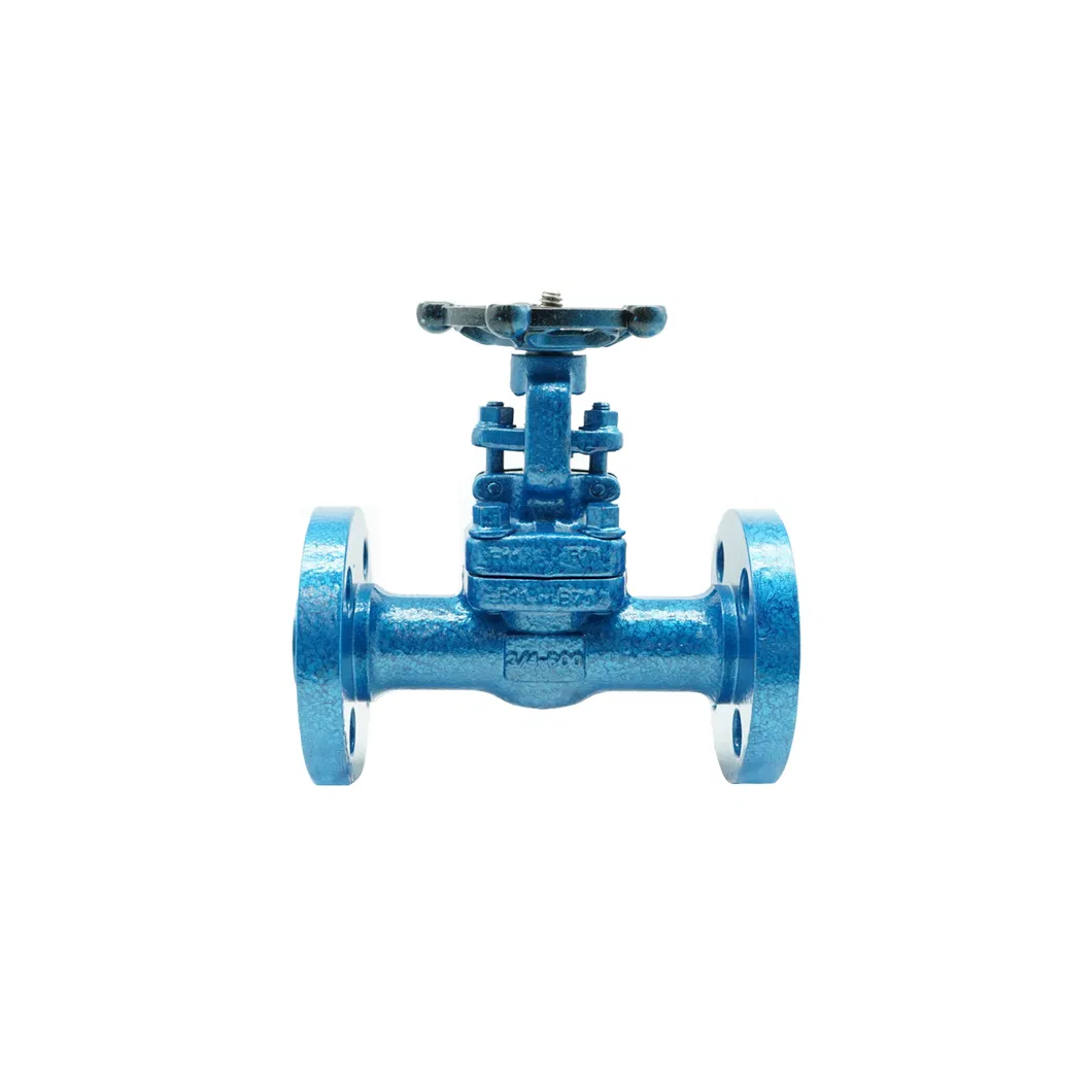 Professional Industrial Valve Stainless Steel F11 DN20 High Temperature Flanged API Gate Valve