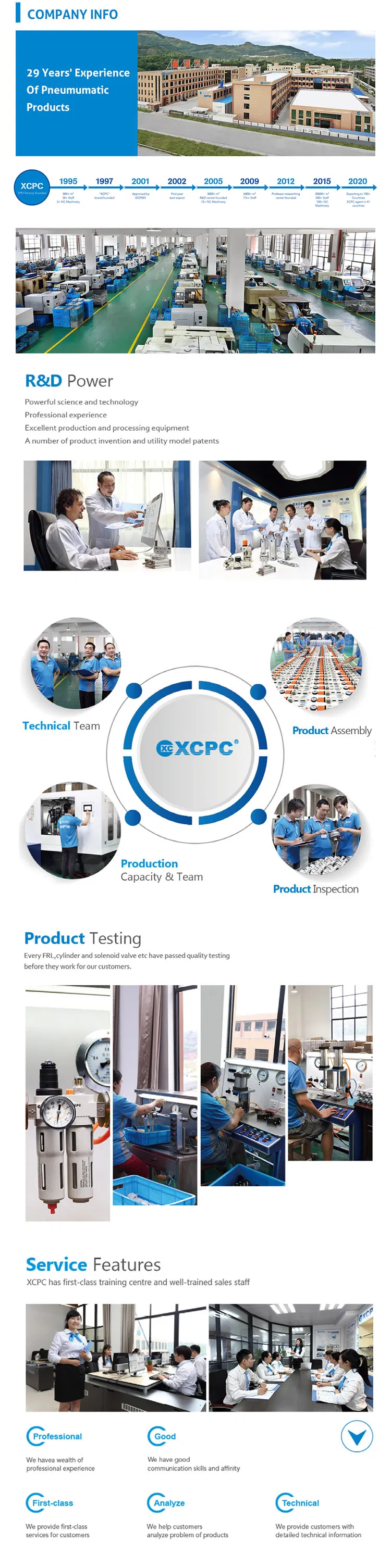 Professional Pneumatic Right Angle Pulse Valve
