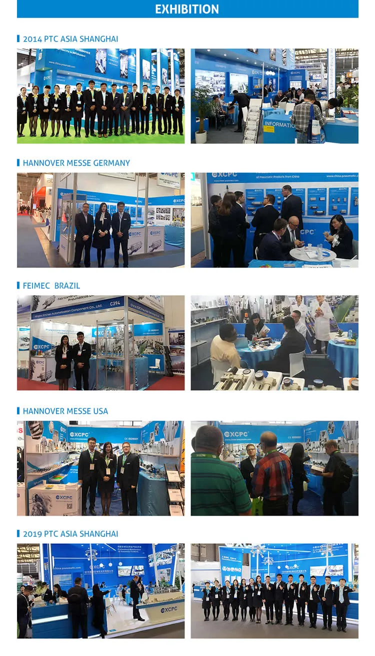 Professional Pneumatic Right Angle Pulse Valve