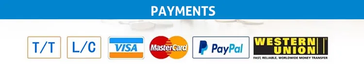 Professional Pneumatic Right Angle Pulse Valve