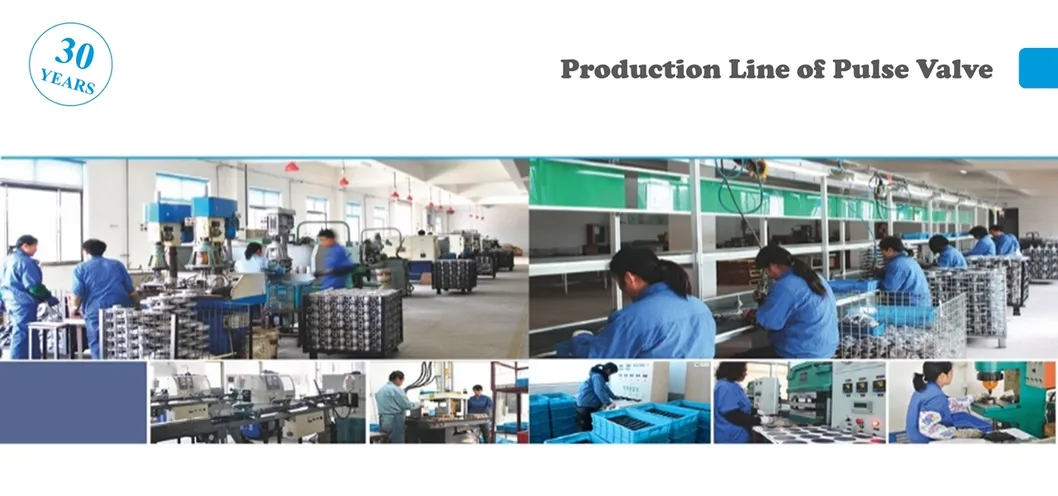 Pulsing Valve for Dust Collector Since 1992