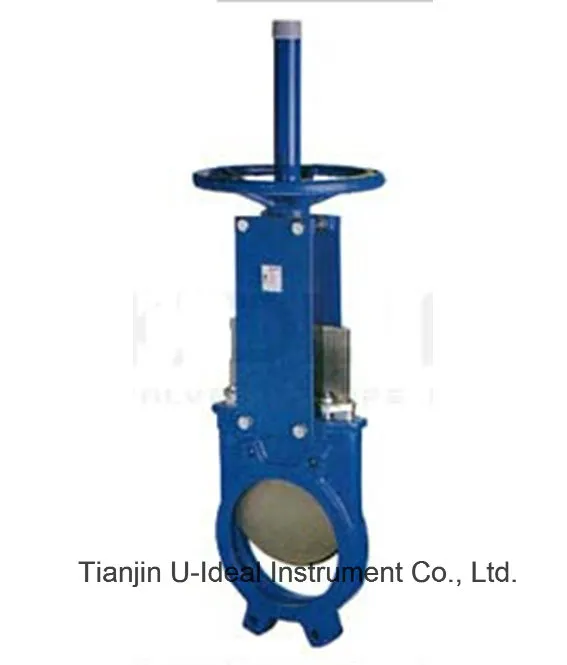 Replaceable Seat Knife Gate Valve