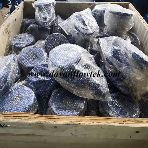 Resilient Seat Handle Operated Cast Ductile Iron BS5163 Water Valve Gate Valve