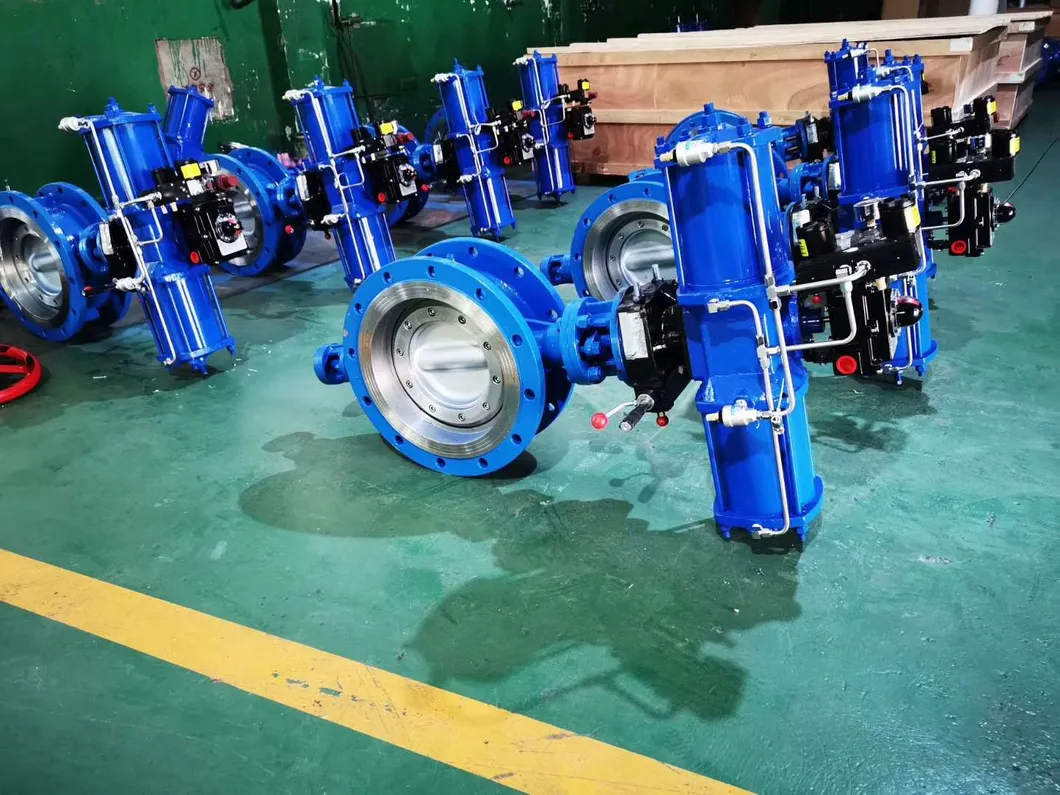 Salvador FRPP Butterfly Valve with Gear Type