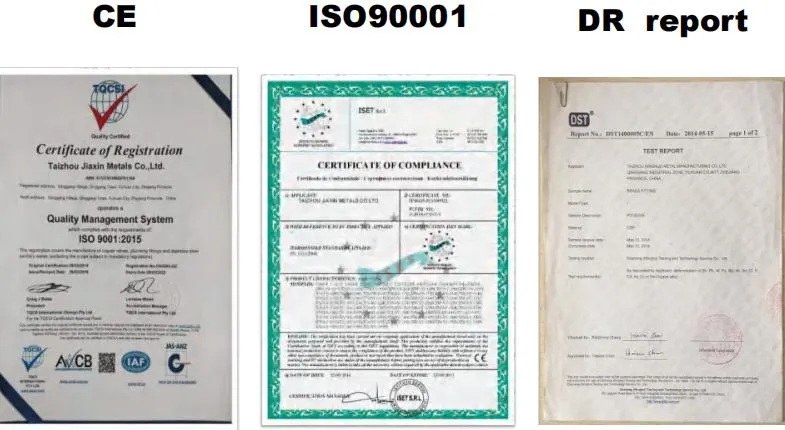 Sand Blasted with Nickel Plated Finishing Y Strainer Filter