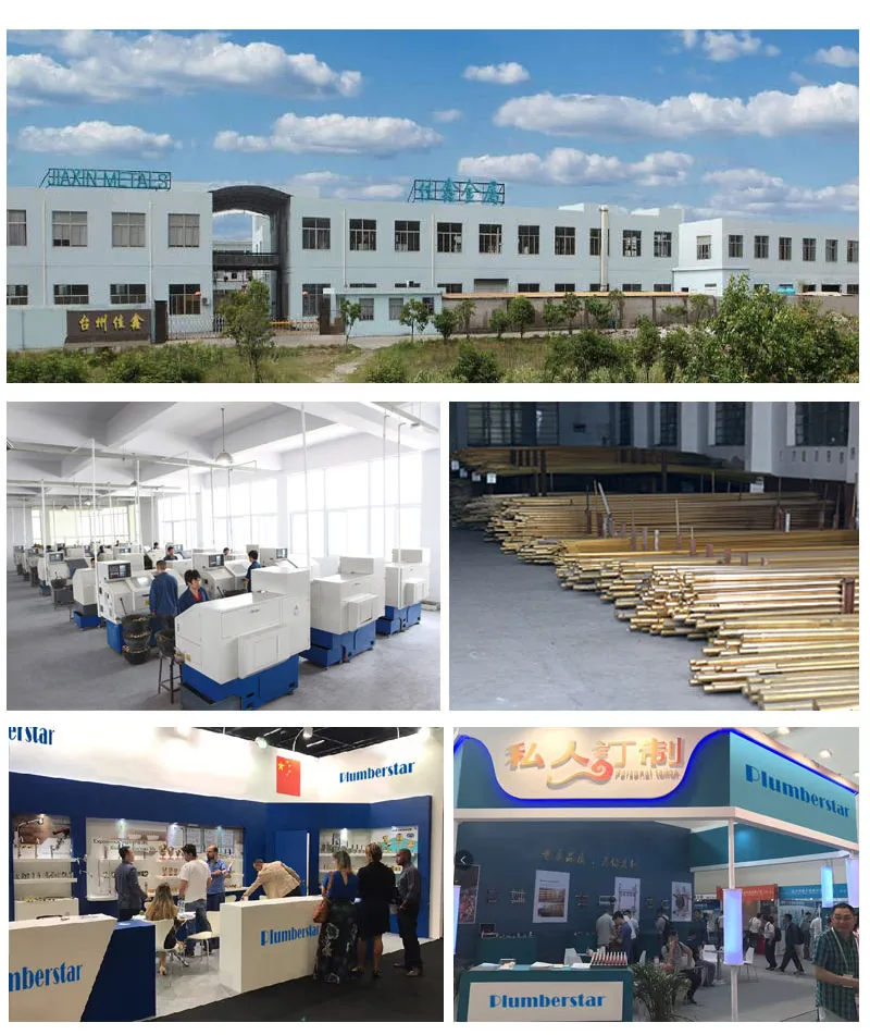 Sand Blasted with Nickel Plated Finishing Y Strainer Filter