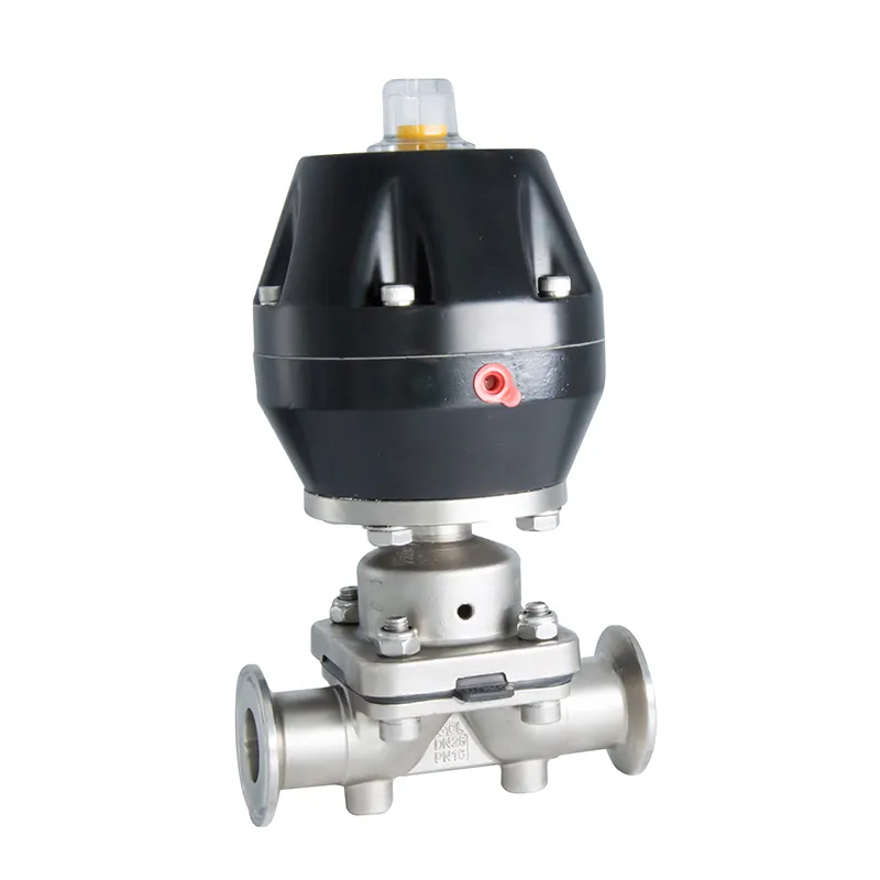 Sanitary SS304 Pneumatic Clamp Diaphragm Valve with Plastic Head