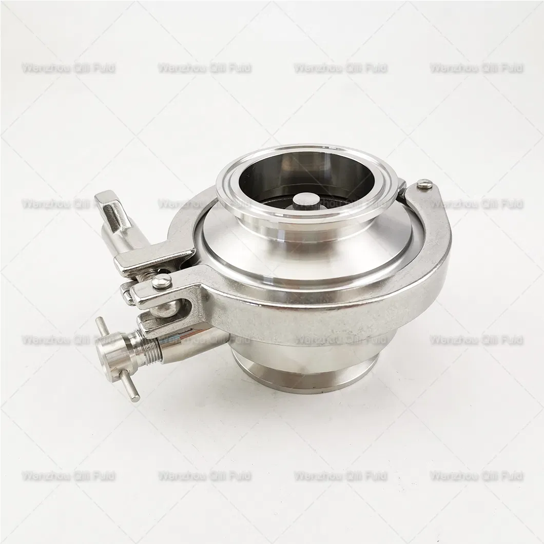 Sanitary Valve Customed 2′′ Check Valve, Ball Valve, Butterfly Valve