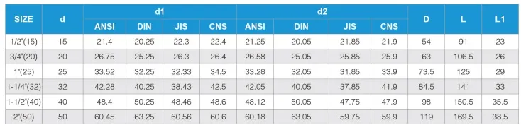True Union Plastic Pph PVC Check Valve for Water Supply