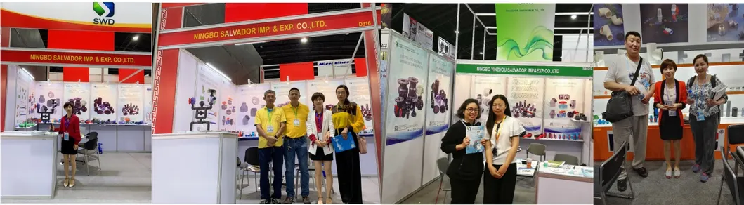 True Union Plastic Pph PVC Check Valve for Water Supply