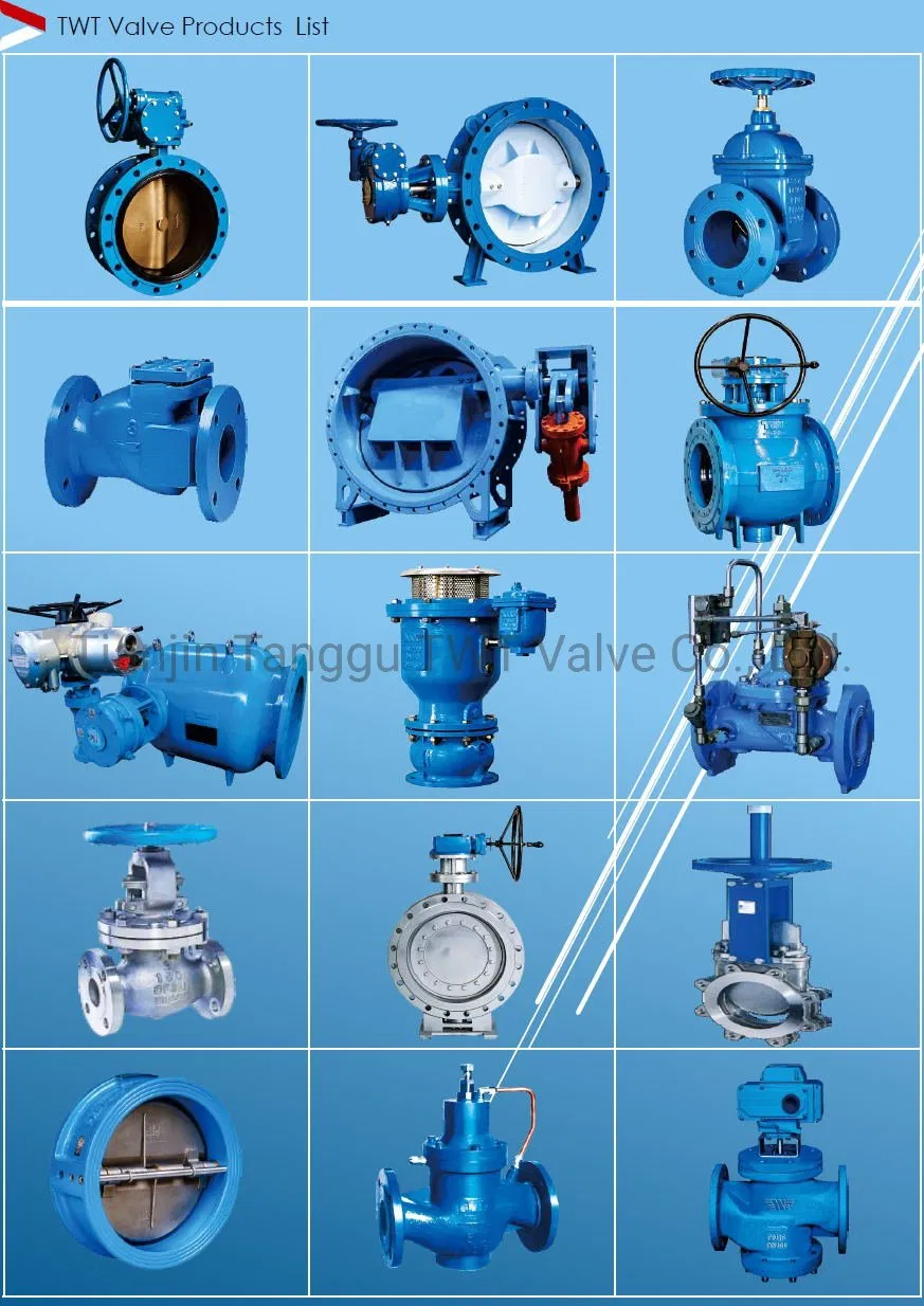 Twt Soft Sealing Flanged Center Line Butterfly Valve