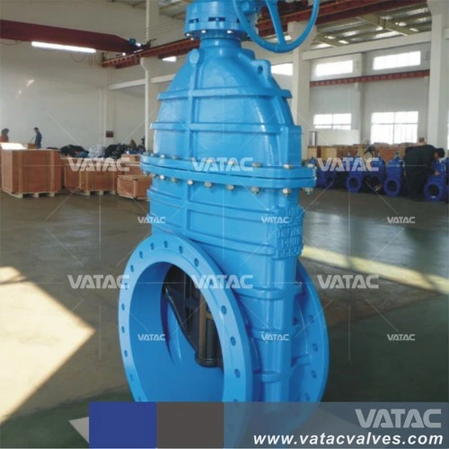 Vatac Cast Iron Resilient Seated Gate Valve