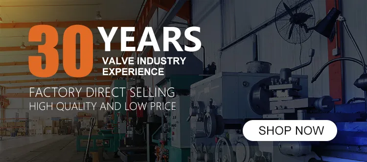 Worm Gear Wafer Lt Butterfly Valve Dn250 Low Price Butterfly Valve